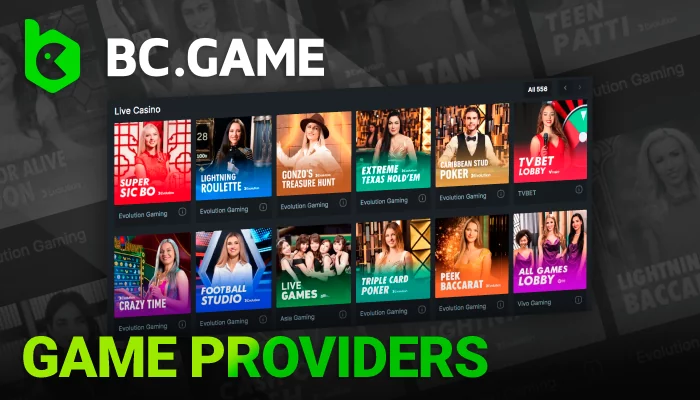 About Game Providers in India on BC Game