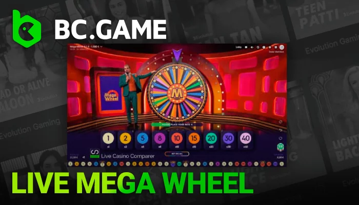 About Live Mega Wheel in India on BC Game