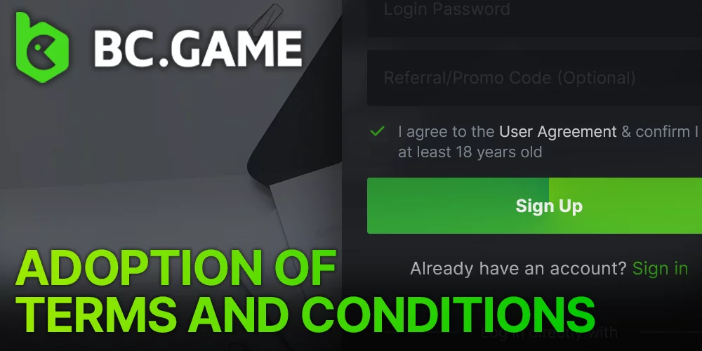 Acceptance of BC Game casino terms and conditions