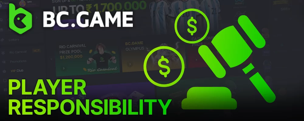Responsibility of BC Game casino players