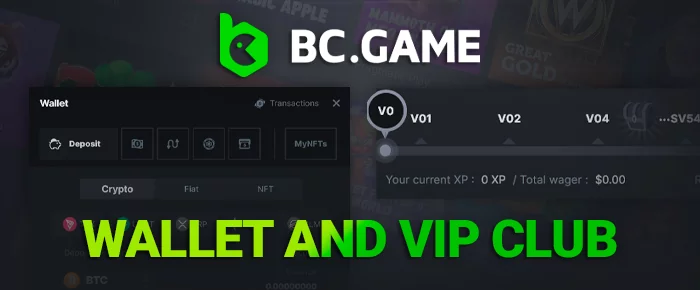 Wallet and VIP club sections in a user profile
