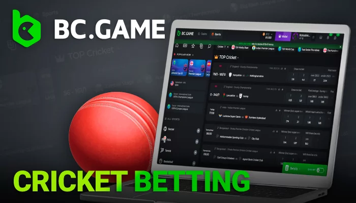 The cricket Bc GAME crypto betting section: IPL, Ranji Trophy, T20 Series, T20 World Cup and other