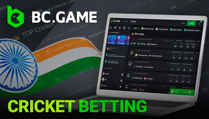 How to make Cricket bet in Crypto with BC Game in India