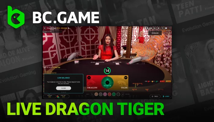 About Live Dragon Tiger in India on BC Game