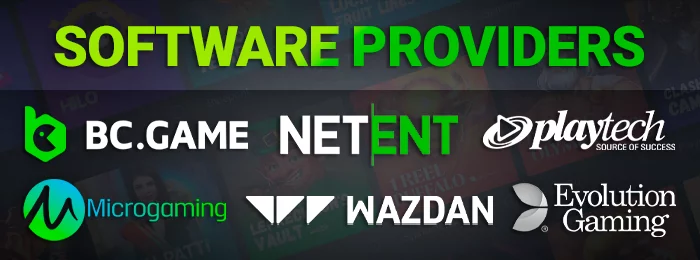 Software providers at BC Game: Netent, Playtech, Microgaming, Wazda, Evolution gaming