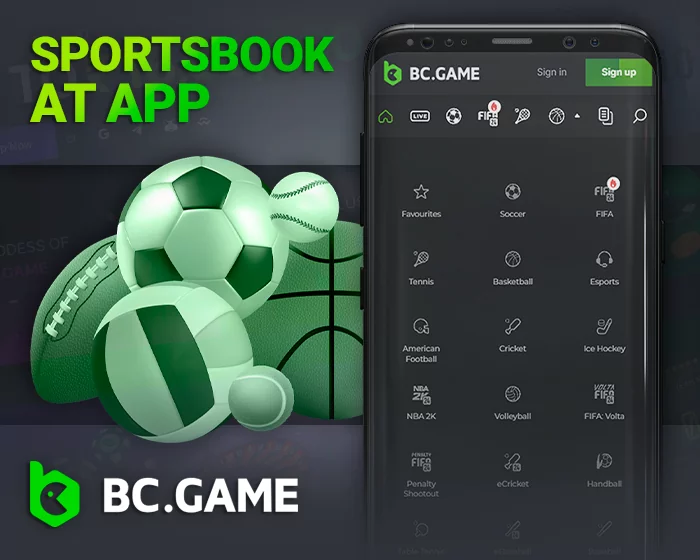 List of sports for betting in BC.Game - Football, Cricket, Tennis, Basketball and others