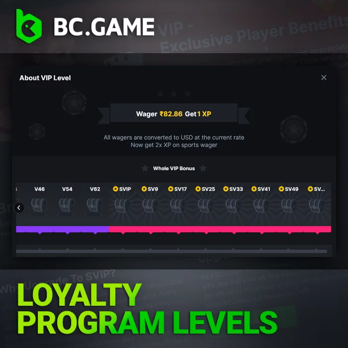 Loyalty program levels in BC Game VIP club