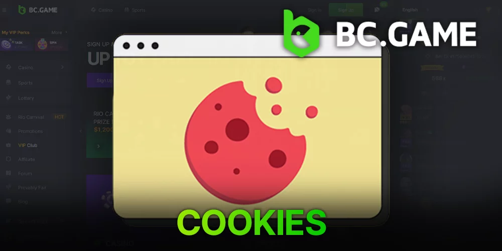 BС Game Cookie files