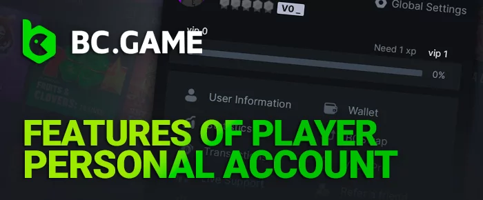 Features of Player personal account at BC Game