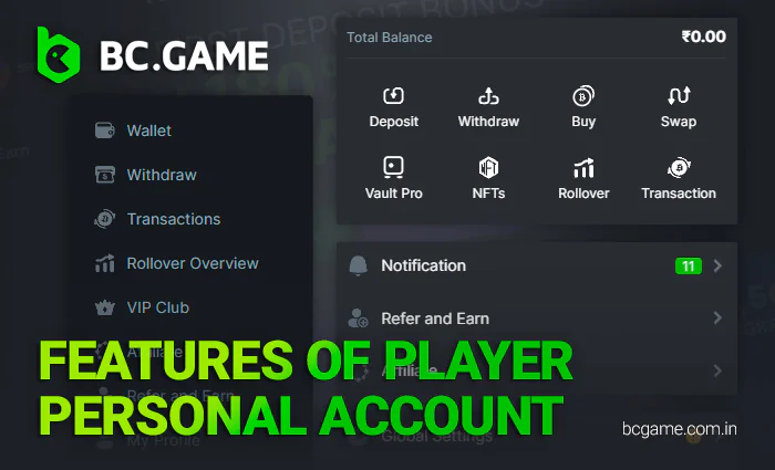Features of Player personal account at BC Game